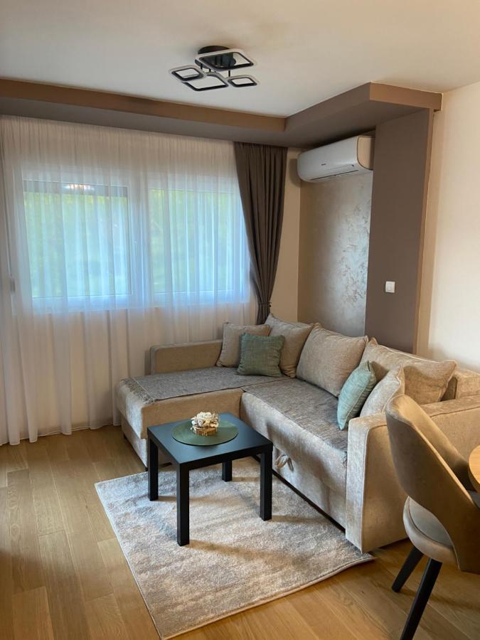 Apartment Soul Vrnjacka Banja